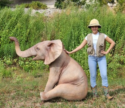 Elephant Statue - Life Size Elephant Statue Sitting - Indoor/Outdoor