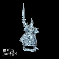 Warhammer Dunkelelfen Champion Marauder Dark Elves Fantasy GW OOP Citadel Metal