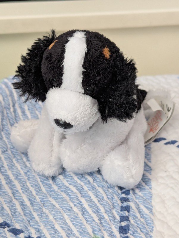 Russ Berrie Kellytoy Saint Bernard Puppy Dog Plush Stuffed Animal Kids Toy