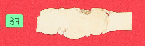 37VR-MEXICO Vitola-Cigar Band-Marca LA RICA HOJA, NON PLUS ULTRA, ESQUISITOS TAB - Picture 3 of 3