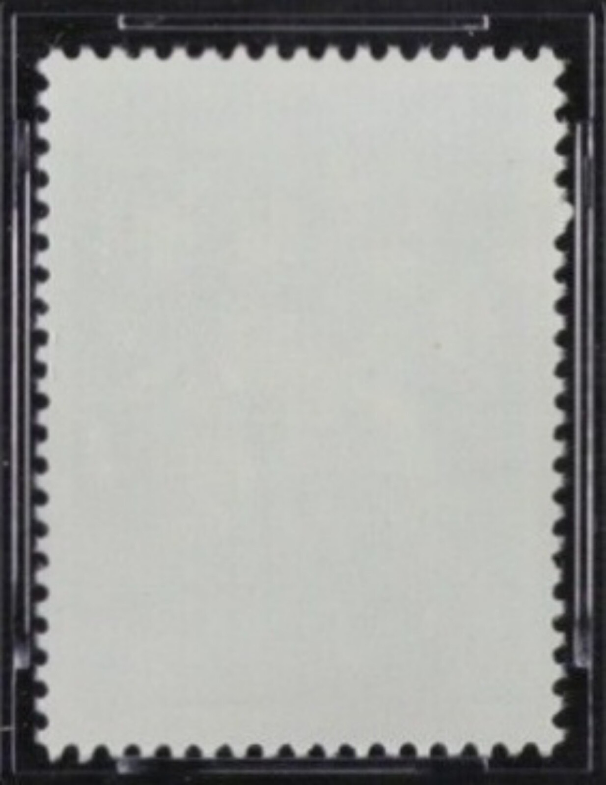 Picture 5 of 5