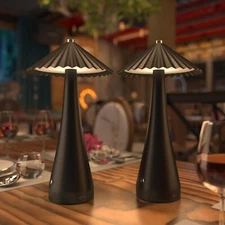 FRIDEKO HOME 2 Pack Cordless Battery Operated LED Table Lamps, Rechargeable...