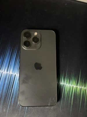 Apple iPhone 13 Pro Max · 256GB