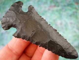 Super Fine Colorful 3 1/2 inch Ohio Coshocton Flint Thebes Point COA Arrowheads