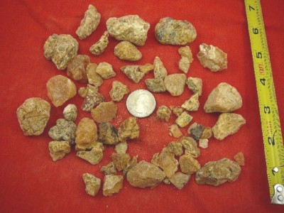 k-4038) 100 g Rare Kauri tree Gum chips copal Amber New Zealand