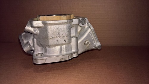 Rotax Max FR125 Kart Engine Motor Cylinder 223994 Junior, Mini, Micro {#10}