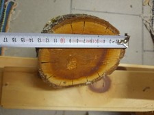 Zwetschke Zwetschge   Holz Drechseln Edelholz Basteln