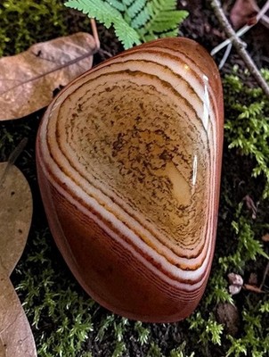 Banded Agate Palm Stone | Natural Honey Caramel Crystal | Polished Worry Stone