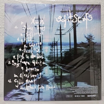 【期間限定値下げ】手書きレアLP盤！Are You Shpongled? YEULE Softscars Vinyl LP Autographed Authentic Hand Painted