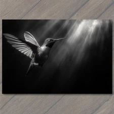 Art Print  Hummingbird Gliding Golden Sunshine Sparkles Vibrant Nature Glow Cute
