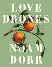 Love Drones by Noam Dorr: New