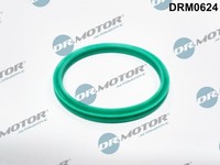 Dr.Motor Automotive Dichtring, Ladeluftschlauch DRM0624 FüR Dacia
