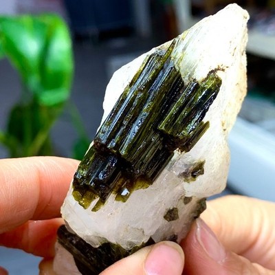105G Natural black tourmaline quartz crystal cluster mineral specimen A737