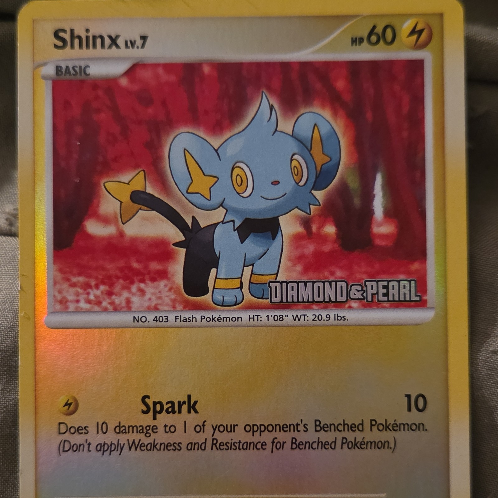 Pokémon Shinx 98/130 Diamond and Pearl Reverse Holo Common Basic 60HP