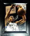 Giannis Antetokounmpo Milwaukee Bucks Signed Autographed 10x8 Photo with COA — photo 1