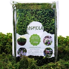Artificial Green Moss Decor