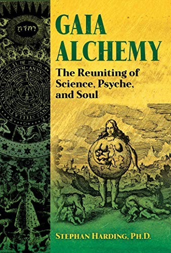 Gaia Alchemy: The Reuniting of Science, Psyche, by Stephan Harding PAPERBACK - Image 7