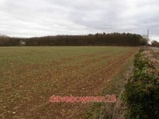 PHOTO  TREES COVERING THISTLETON IRONSTONE MINE ADIT ACCORDING TO THE BOOK IRONS