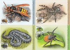 Belarus.2026.Dangerous animals.Insects. Set 4 Maxicards.MNH