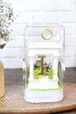 Jumping Spider Enclosure, Insect Terrarium, Bug Enclosure, Spider Cage, Jumping