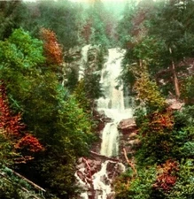 Rowena Loops Oregon OR RPPC #11 UNP Unused Postcard