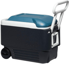 igloo sportsman 40q