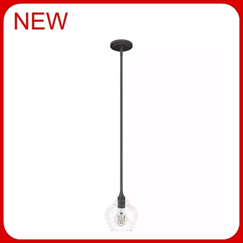 Hunter Dunshire 1-Light Bronze Mini-Pendant, Clear Seeded Glass Shade  r21 - Picture 2 of 2