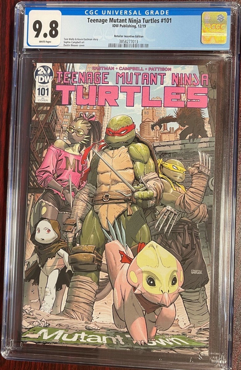 🔥 TEENAGE MUTANT NINJA TURTLES #101 TMNT IDW 1:10 VARIANT