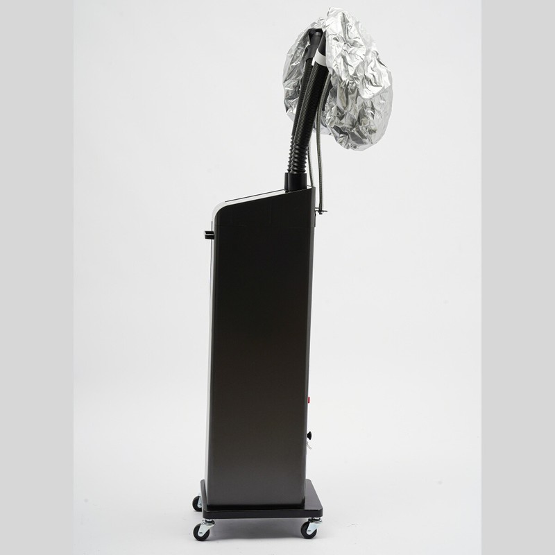 Professional Ozone Micro-mist Nano Hair Steamer Hair Treat for SPA Hair Salon