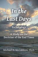 Michael D. Mccubbins | In The Last Days | Taschenbuch | Englisch (2023)