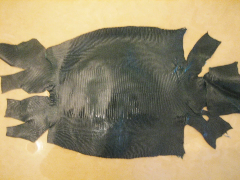 Genuine Lizard Belly Skins grade A, hide Pelt Glossy 7 colors, variety of sizes  - Image 4 of 4