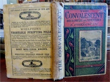 The Convalescent Rambles & Adventures Travelogue Americana 1870's Willis book
