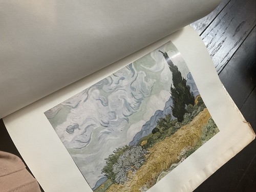 (3) ABRAMS ART BOOKS, RENOIR, TOULOUSE-LAUTREC AND GREAT LANDSCAPES - Foto 6 di 8