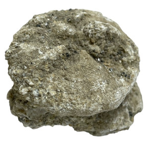OBO 🪨🦴🪷 FOSSIL 83 g CRINOID ROCK SPECIMEN NATURAL FORM DISPLAY (FOSSIL #37)