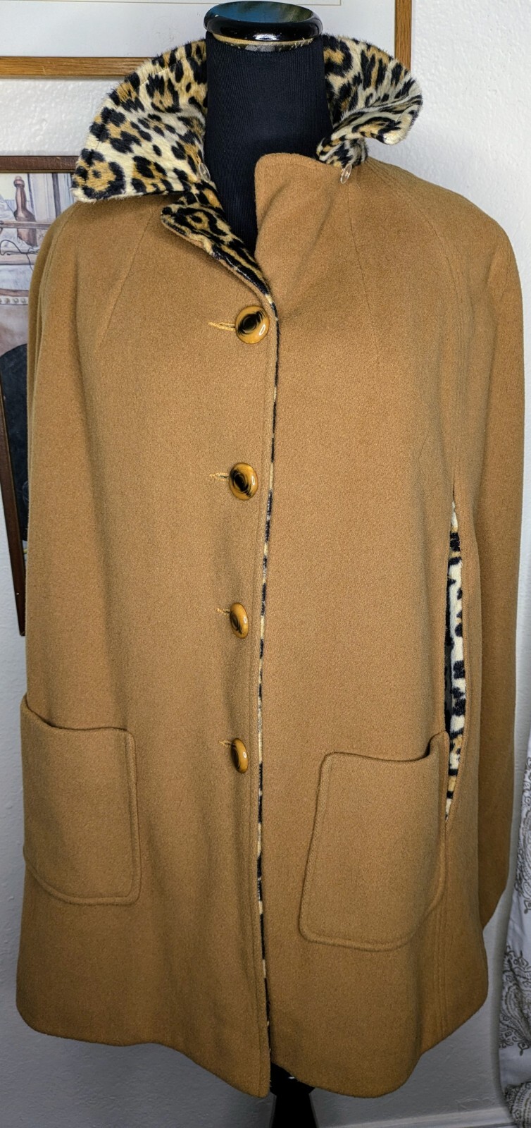 Picture 6 of 11