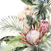 20 Servietten Protea & Orchids Exotisch Natur Dschungel Blumen Orchideen 33X33Cm