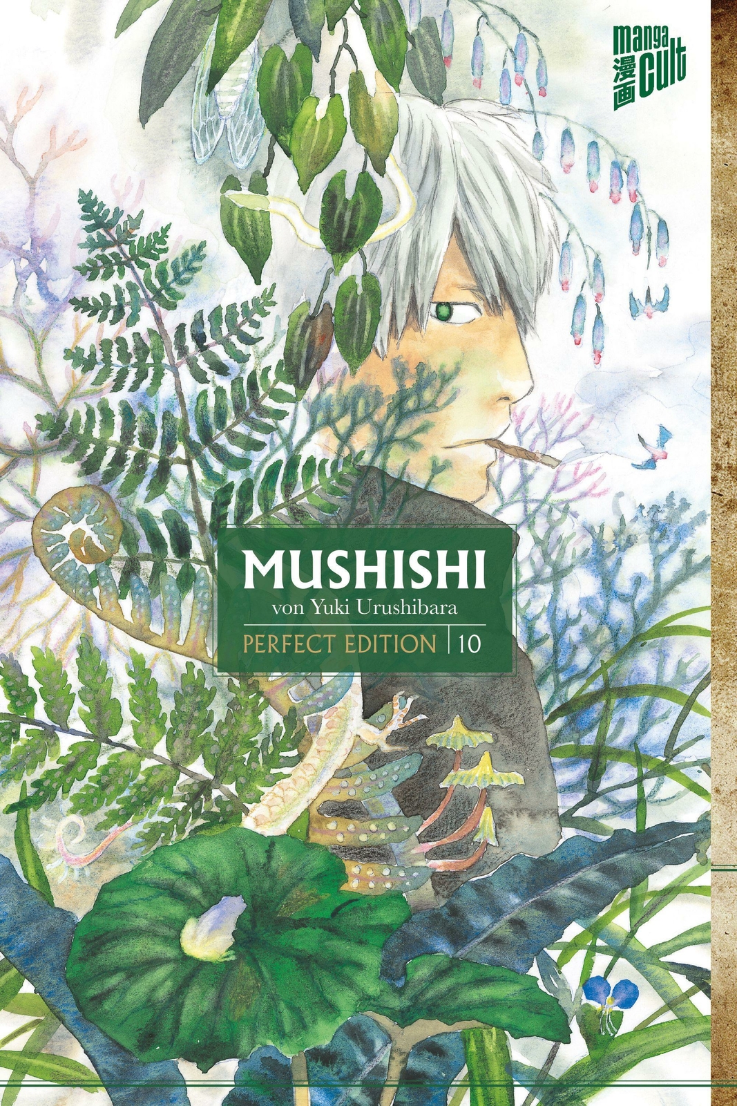Thumbnail - Mushishi - Perfect Edition 10 | Buch | 9783964333490