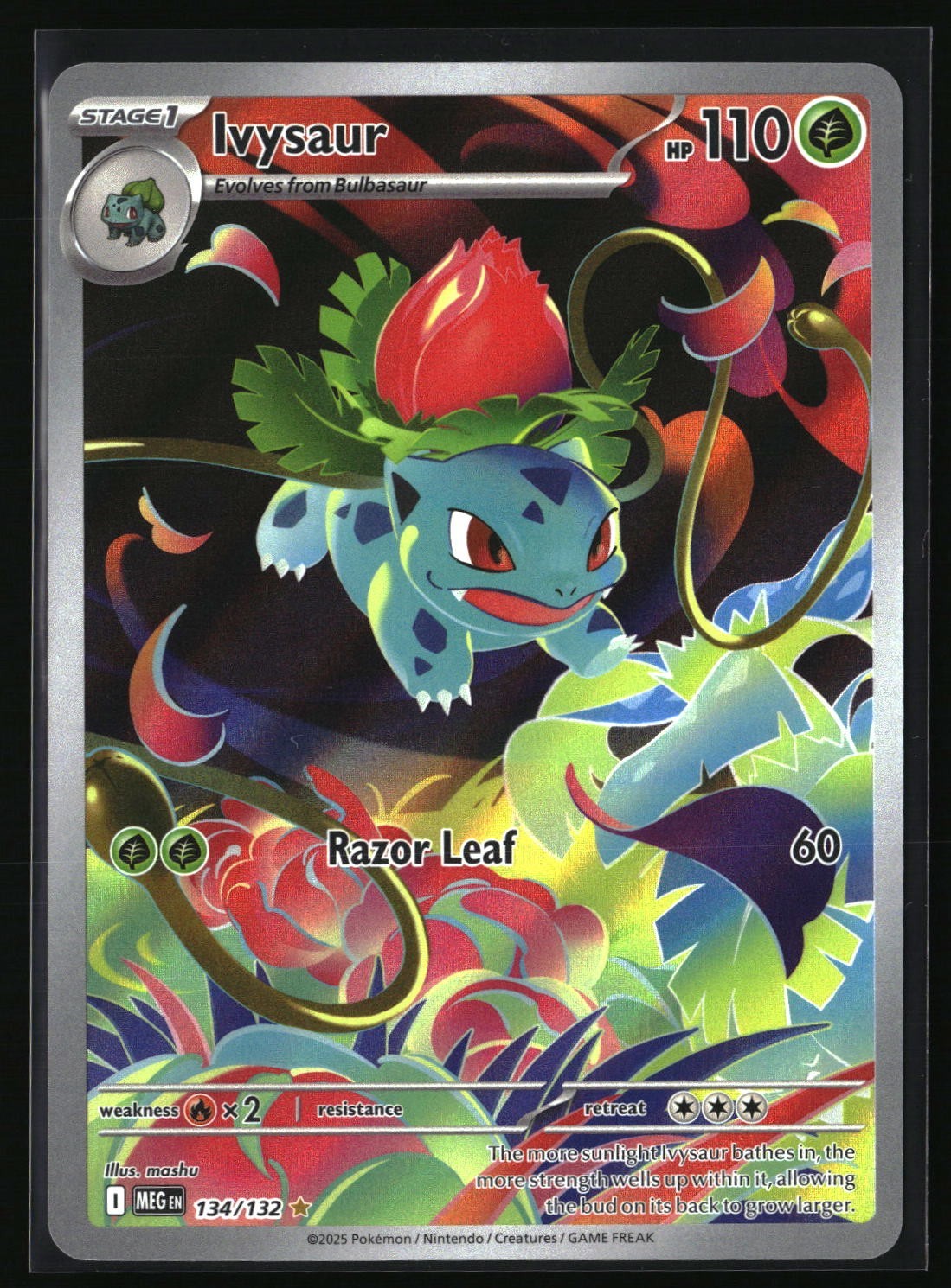 Ivysaur 134/132 Mega Evolution Illustration Rare Full Art Pokemon TCG Card NM
