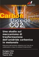 Uno Studio Sul Meccanismo Di Trasformazione Dell'anidride Carbonica In Metanolo