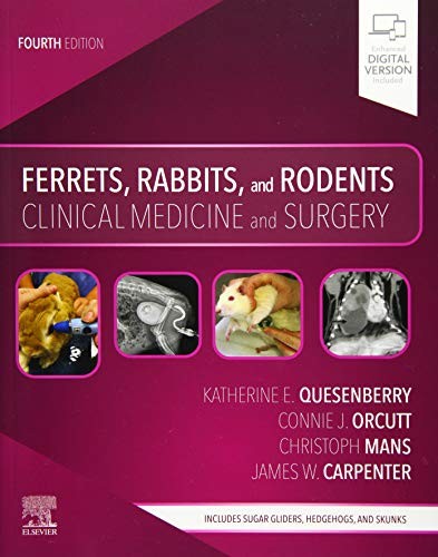 Ferrets, Rabbits, and Rodents Clinical Medicine and Surgery Quesenberry Mans 4e - Image 3