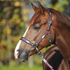 Kavalkade Halfter "Classic-Raute" Pferdehalfter Nase Genick gepolstert PI PII VB