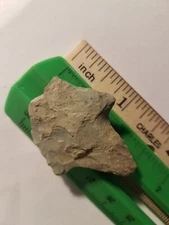 DAMAGED NATIVE AMERICAN INDIAN ARTIFACT FOUND IN EASTERN NC BRN/31