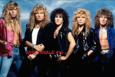 デイヴィッド・カヴァデールとスティーヴ・ヴァイ　サインcd whitesnake 8x10 in.promo photo WHITESNAKE DAVID COVERDALE STEVE VAI ADRIAN