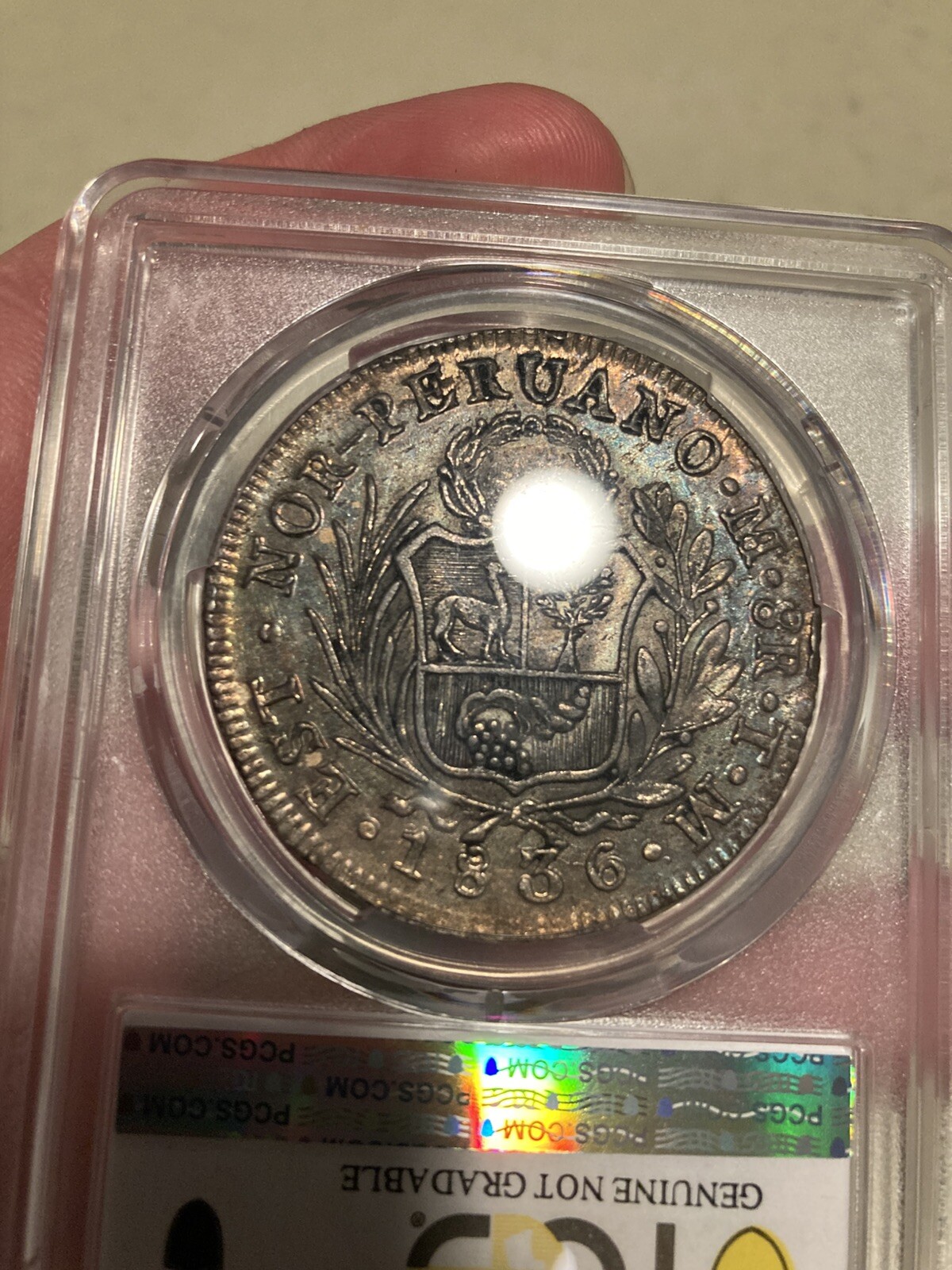 Picture 3 of 3
