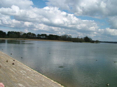 Foto 6x4 Chew Valley Lake Reiher grün um 2008