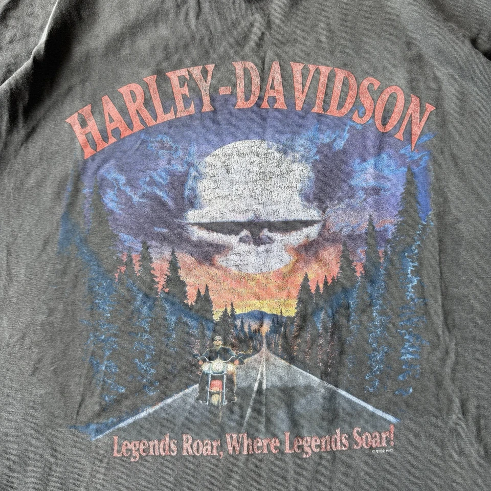 Vintage Harley Davidson Big Boar Graphic Tee Grey Flames Biker Shirt USA - image 3 of 4