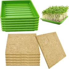 6Set Microgreens Growing Mat with Tray, Microgreen Growing Kit 10″×10″ Wheatgras