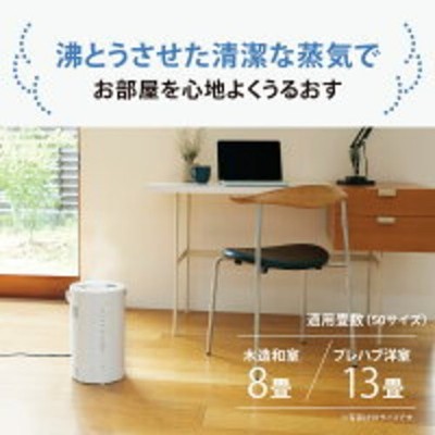Zojirushi EE-DF50 WA Steam Humidifier 4.0L White Imported From Japan