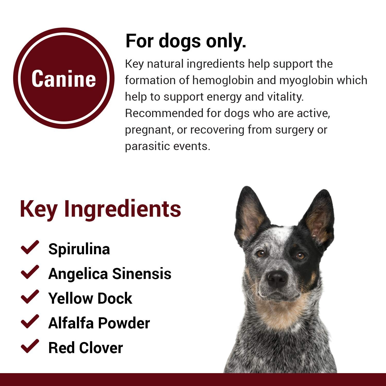 Vet Classics Blood & Energy Support for Dogs, Supports Endurance with Spiruli...