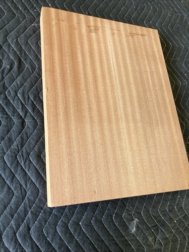 Cuerpo de guitarra eléctrica de madera Sapele en blanco - Imagen 7 de 10